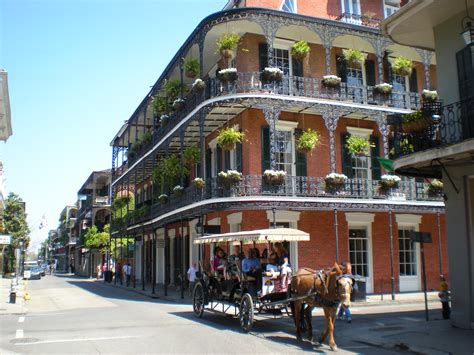 New orleans wiki - New Orleans is 6 feet below sea level, on average. The highest elevation that New Orleans reaches is only around 20 feet above sea level. New Orleans is located between the levees ...